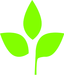 product review image1